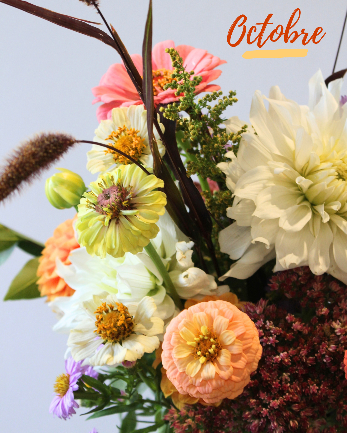 Le Bouquet du mois - DOUX