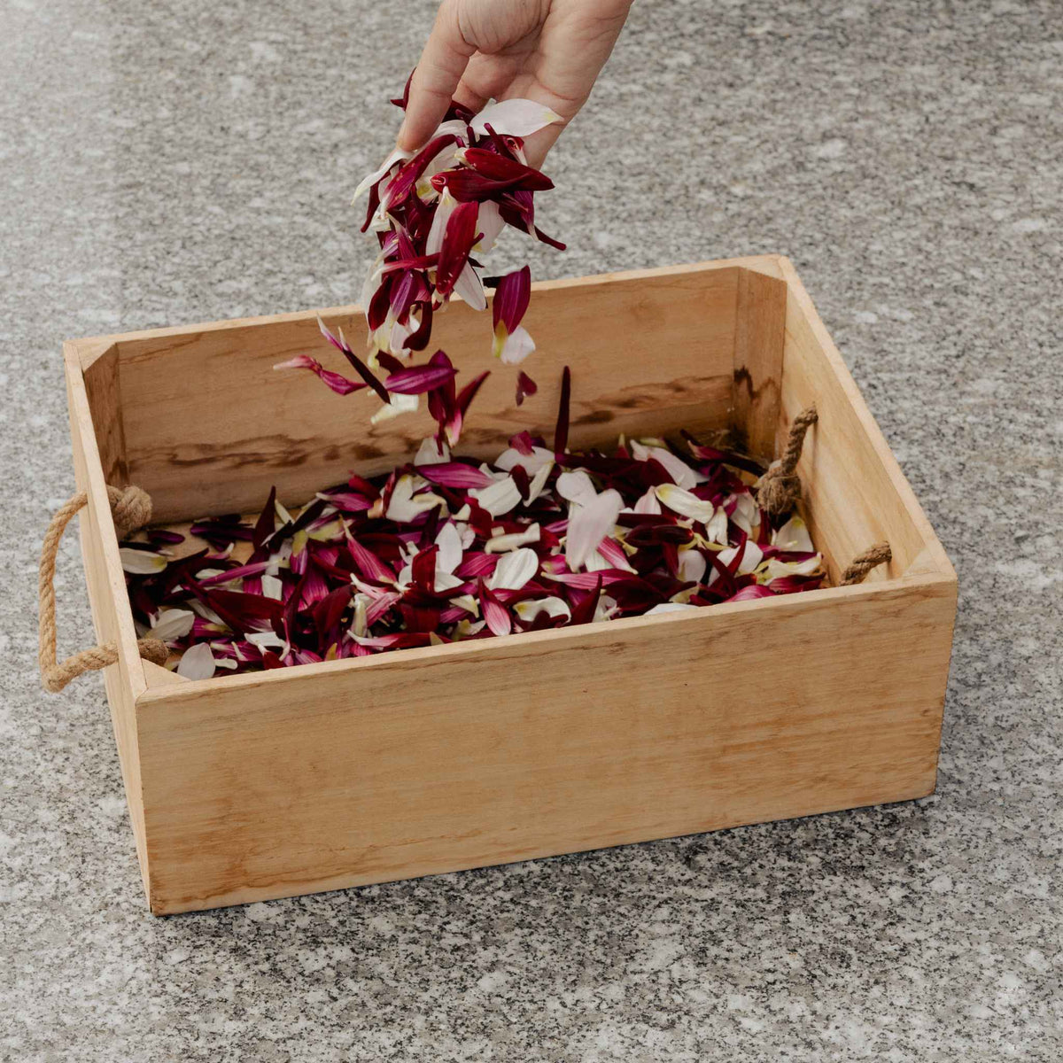 Confettis de pétales pour cérémonies de deuil